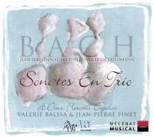 Bach J.S. & Bach C.P.E.: Sonates en trio